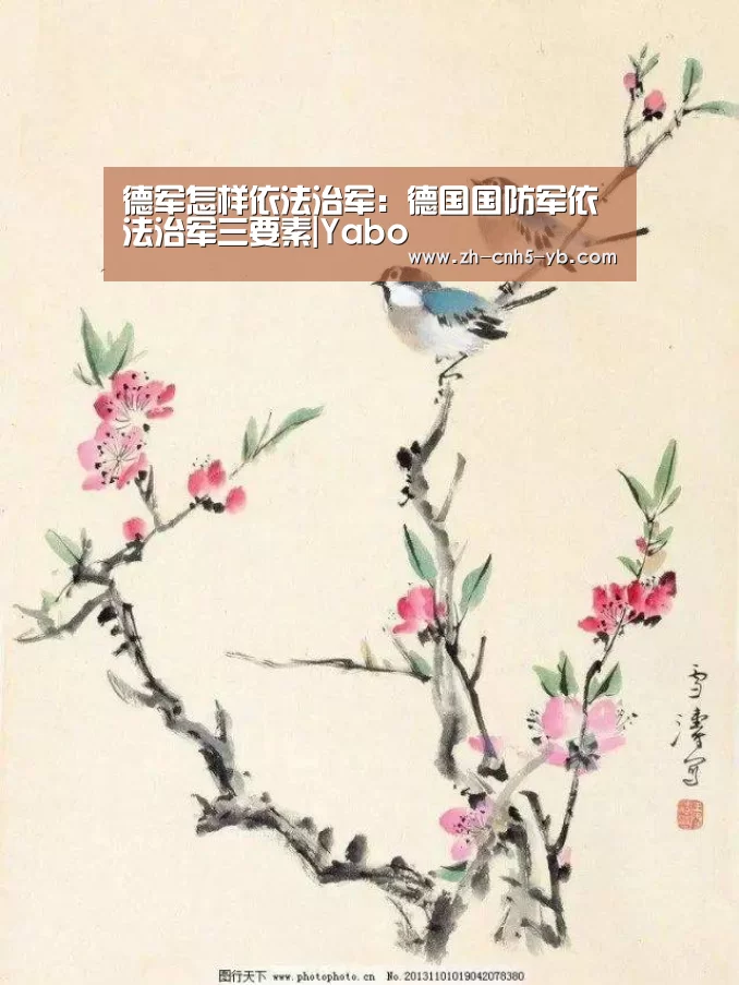 
德军怎样依法治军：德国国防军依法治军三要素|Yabo(图4)